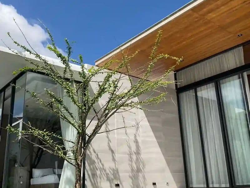 Wintery_by_Season_Luxury_Villas_exterior_1-1