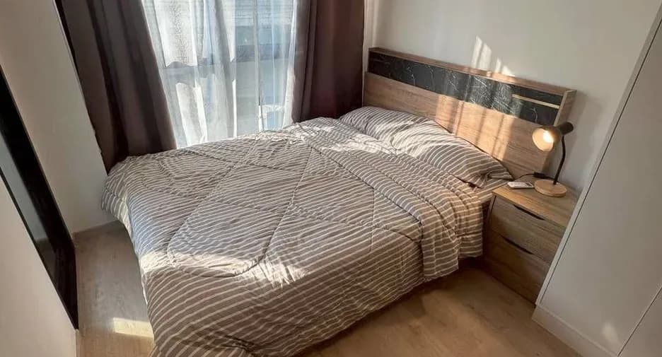 One Bedroom (31 m²)