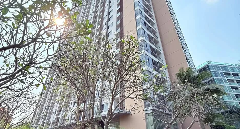 One Bedroom (35 m²)