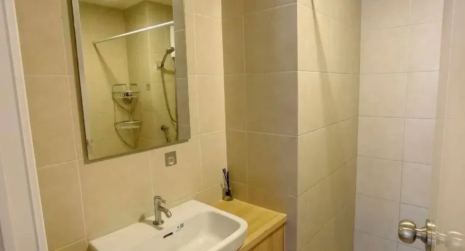 Studio (24 m²)