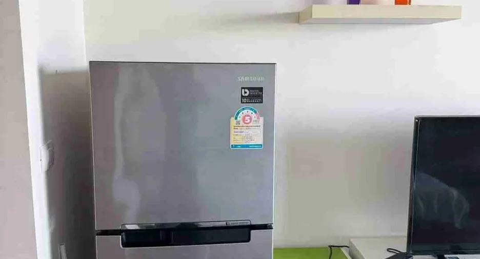 Studio (32 m²)