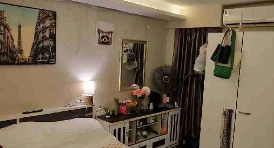 Studio (26 m²)