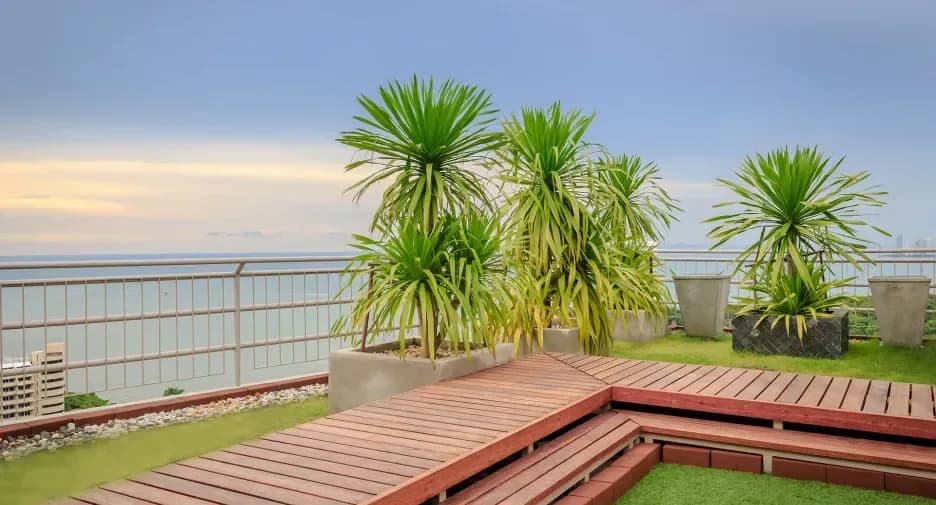 The Cloud Condominium Pattaya