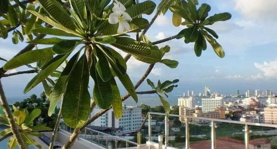 Pattaya Heights condo