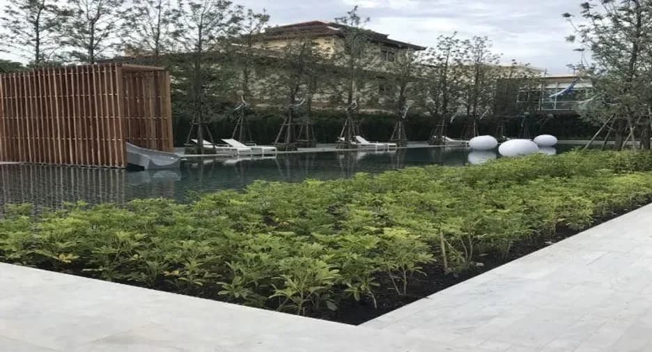 Veranda Residence